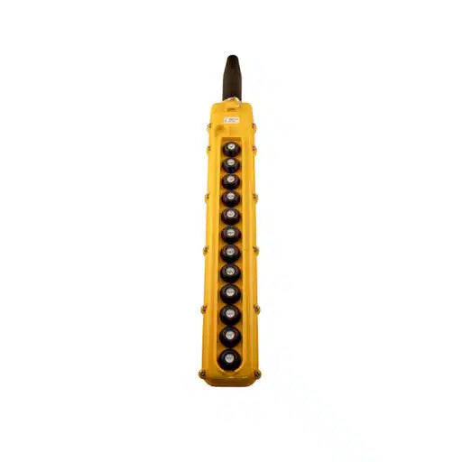 SBN Pendant Pushbutton Station, 12-Button, All Two-Speed